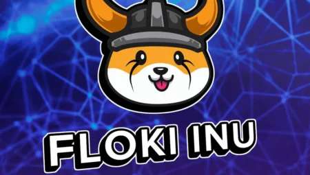 Shiba Inu temalı Floki, Çin hamlesinden sonra ticaret hacminde artış görüyor