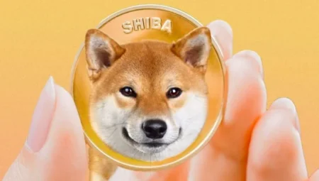 Shiba Inu Nedir, Nasıl Alınır? Shiba Inu Tarihçesi, Özellikleri, Artıları ve Eksileri