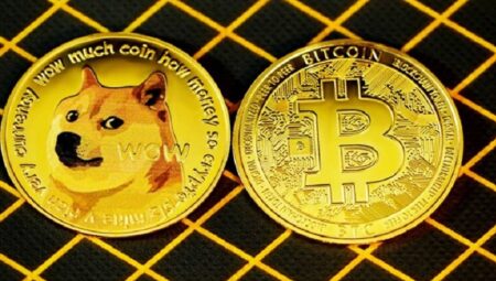 Shiba Inu Madenciliği Mining, Shiba Inu Nasıl Üretilir, Shiba Inu Nasıl Elde Ediliyor