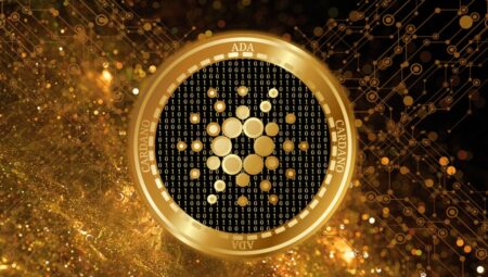 ADA balinaları hareketlendi: Cardano DeFi’de yeni zirvelere ulaşıyor