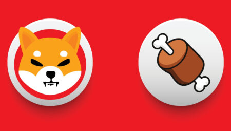 Shiba Inu’nun Ekosistem Coin’i İçin Güvenlik Adımı Fiyata Yansıdı: Yüzde 17 Yükseliş!