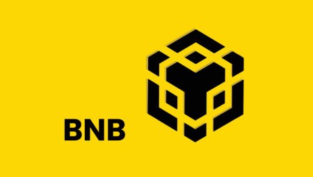 BNB Chain Ekosistemi Büyüyor: Yeni Bir Ağ Daha Kuruldu