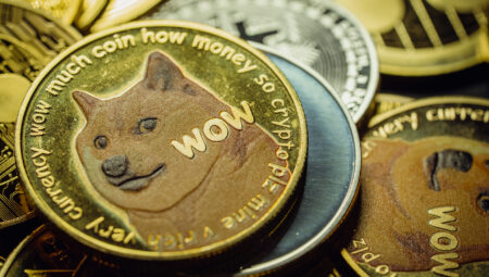 Popüler Trader’dan Dogecoin İçin İddialı 1 Dolar Tahmini: Hedef Finansal Özgürlük!