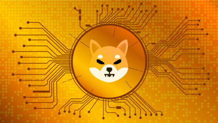 Meme Coin Furyası Sürerken Balina Binance’e 6 Milyon Dolarlık Shiba Inu Taşıdı!