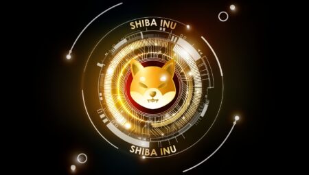 Shiba Inu Balinalarının Radarındaki Yeni Token PlayDoge İlk Günde 1 Milyon Dolara Dayandı