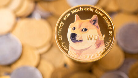 DOGE Meme Coin Ateşini Yeniden Alevlendirecek: Bu Veri Bir Haftada Yine Büyüdü!